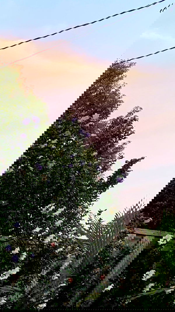 9bitez 9bitez archive image