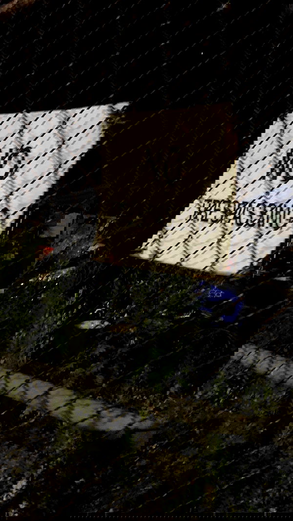 9bitez 9bitez archive image