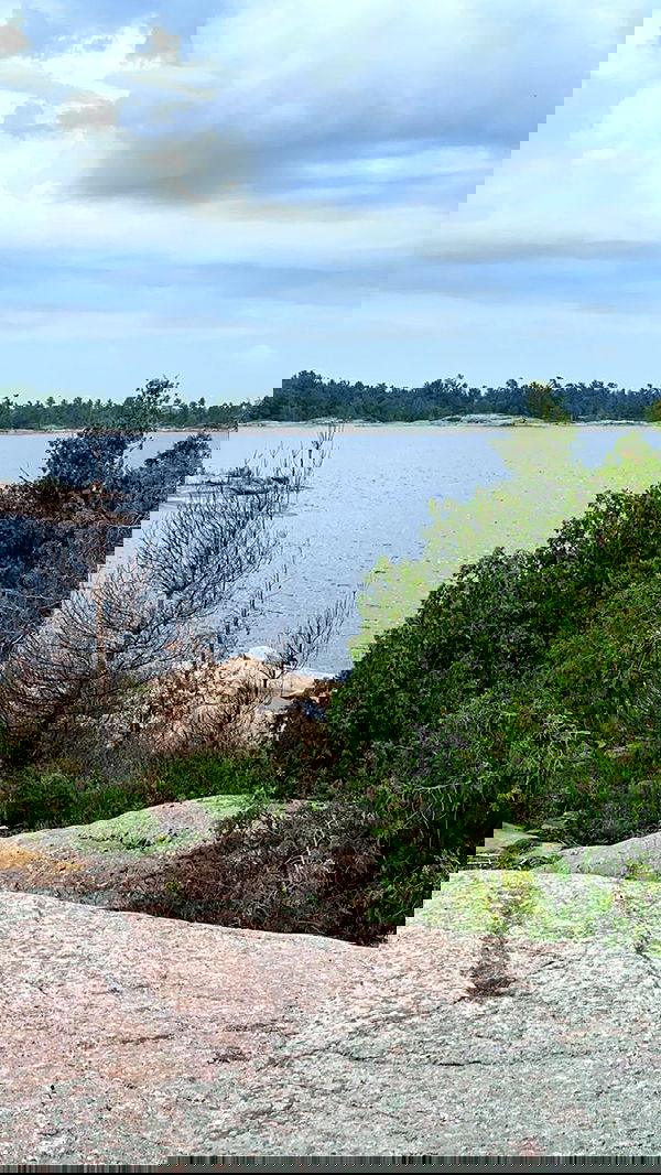 9bitez 9bitez archive image