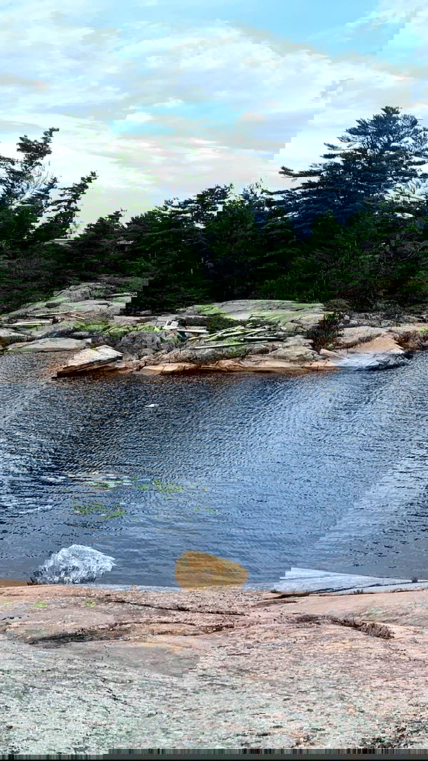 9bitez 9bitez archive image