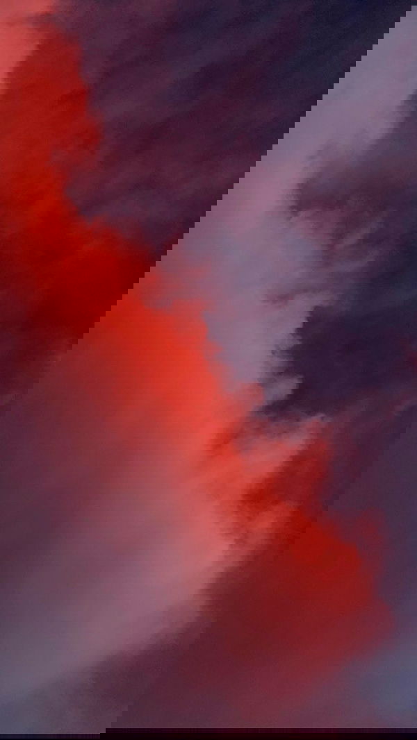 9bitez 9bitez archive image