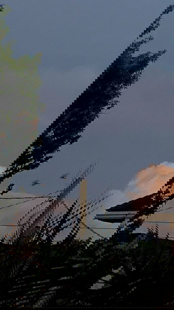 9bitez 9bitez archive image