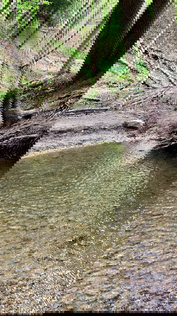 9bitez 9bitez archive image