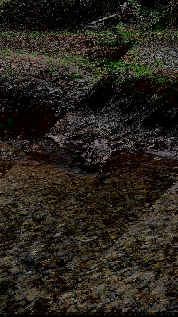 9bitez 9bitez archive image