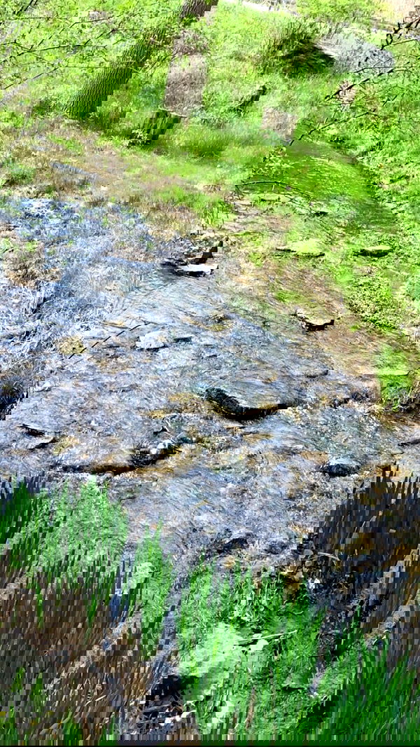 9bitez 9bitez archive image