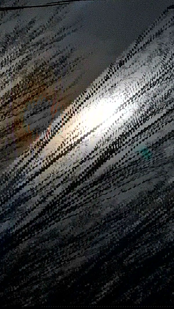 9bitez 9bitez archive image