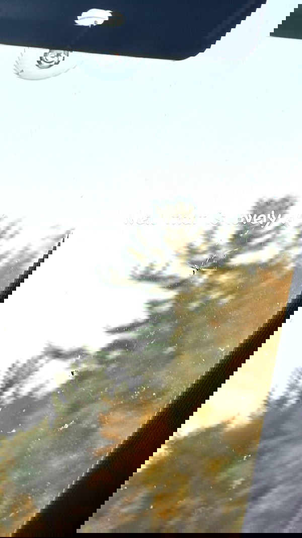 9bitez 9bitez archive image