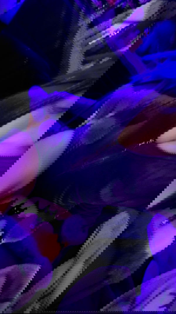 9bitez 9bitez archive image