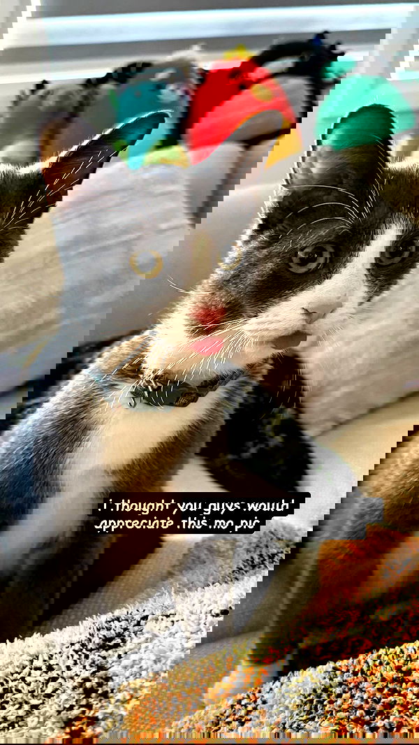 9bitez 9bitez archive image