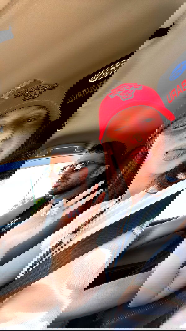 _._dianush._ _._dianush._ archive image