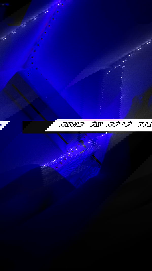 _._dianush._ _._dianush._ archive image