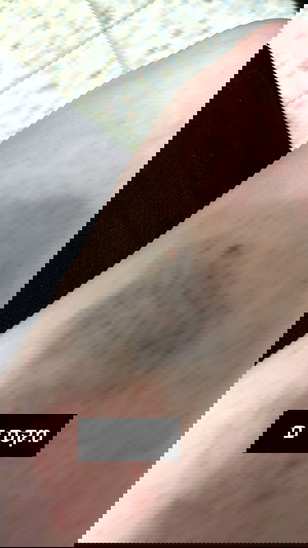 _._dianush._ _._dianush._ archive image