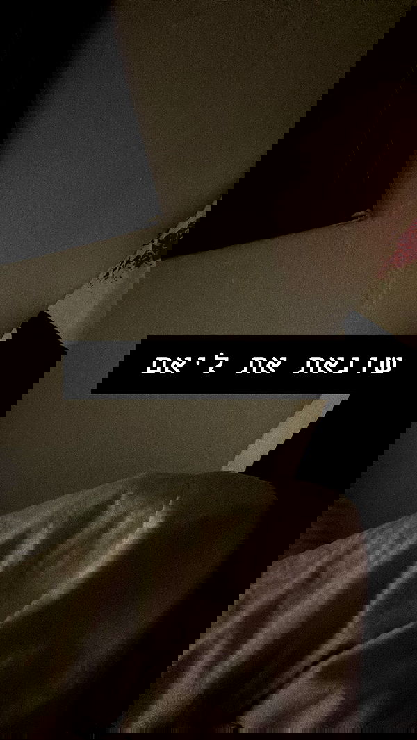 _._dianush._ _._dianush._ archive image