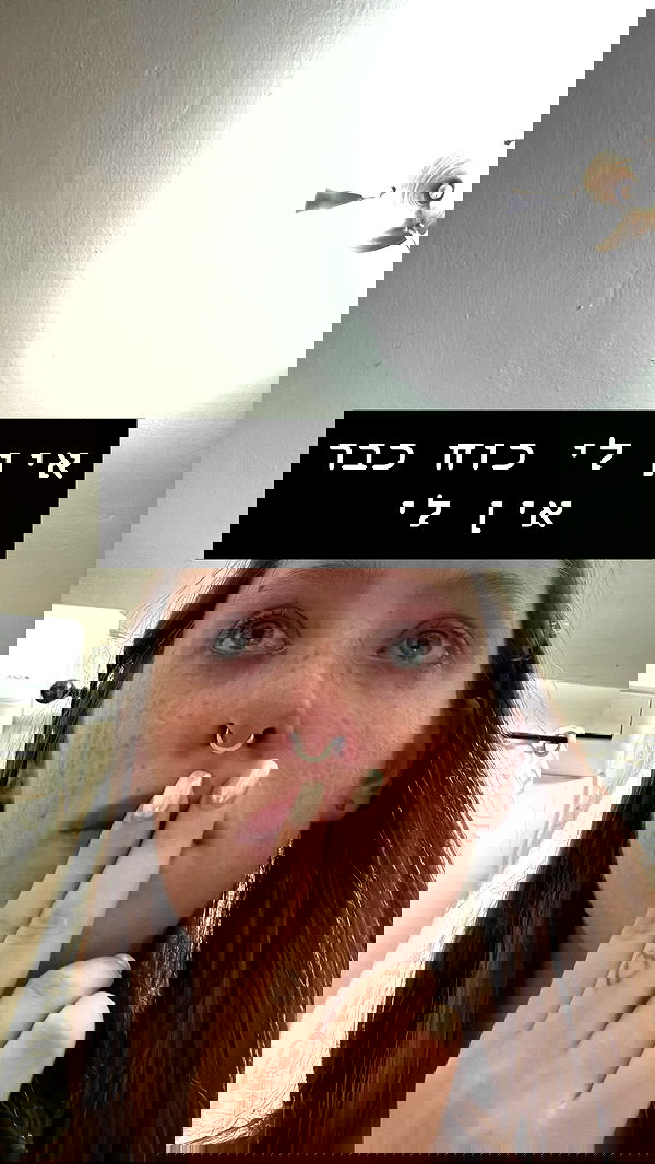 _._dianush._ _._dianush._ archive image