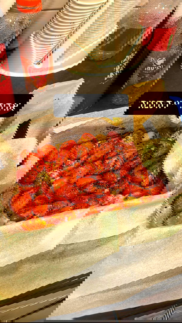 _._dianush._ _._dianush._ archive image