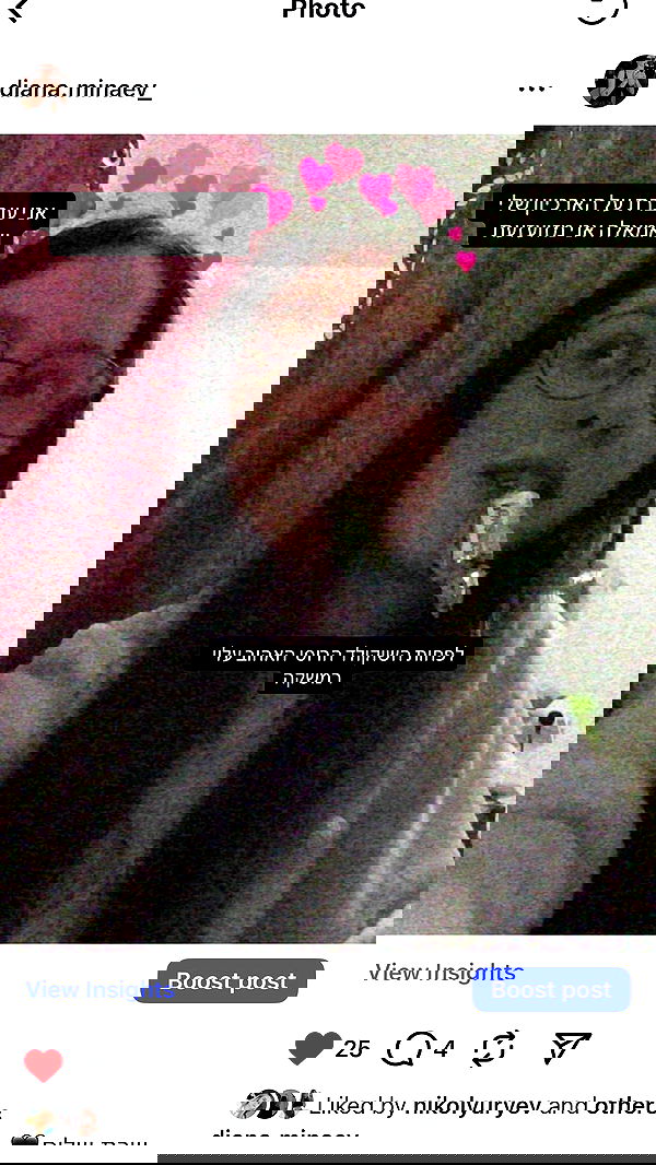 _._dianush._ _._dianush._ archive image