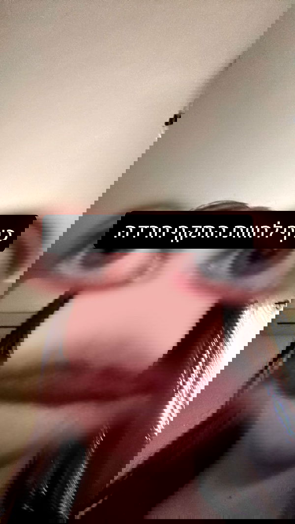 _._dianush._ _._dianush._ archive image