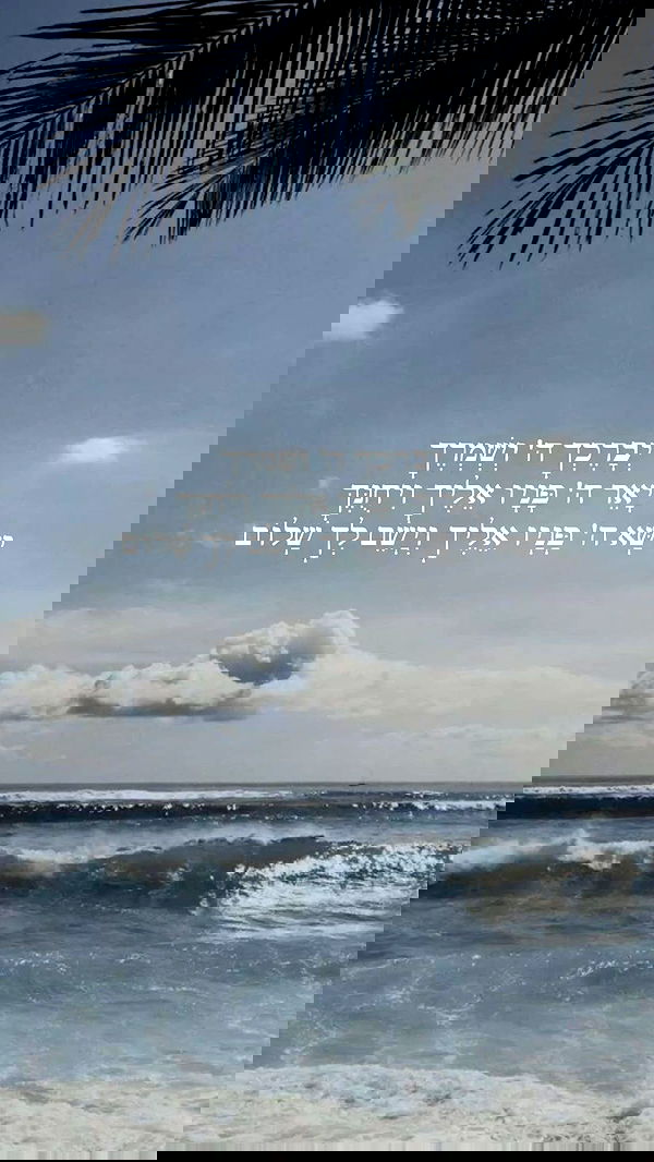 _._dianush._ _._dianush._ archive image