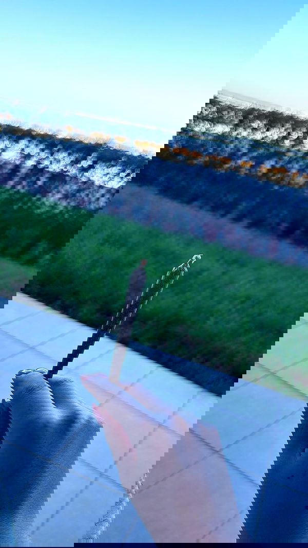 _._dianush._ _._dianush._ archive image