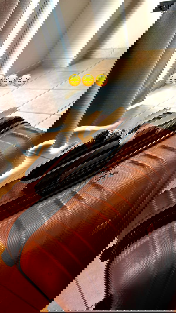 _._dianush._ _._dianush._ archive image