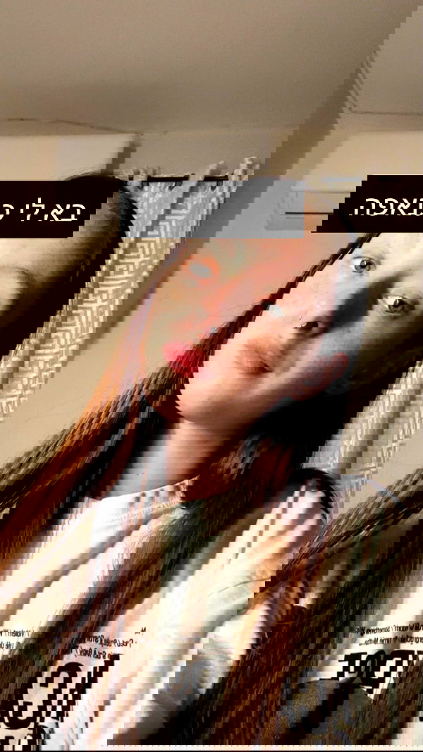 _._dianush._ _._dianush._ archive image