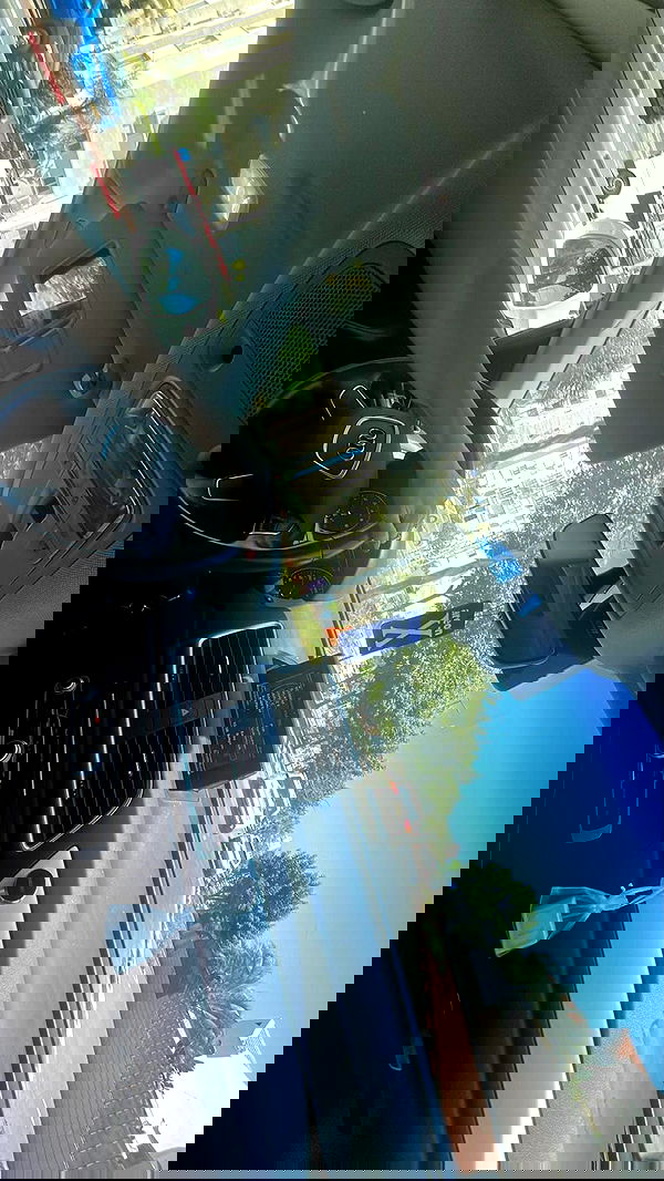 _._dianush._ _._dianush._ archive image