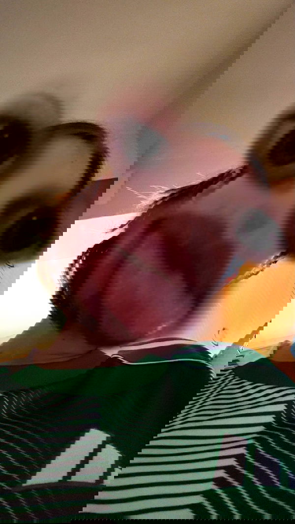 _._dianush._ _._dianush._ archive image