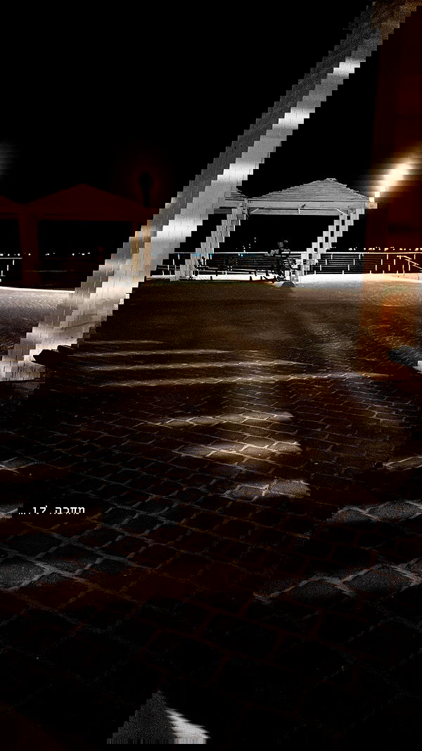 _._dianush._ _._dianush._ archive image