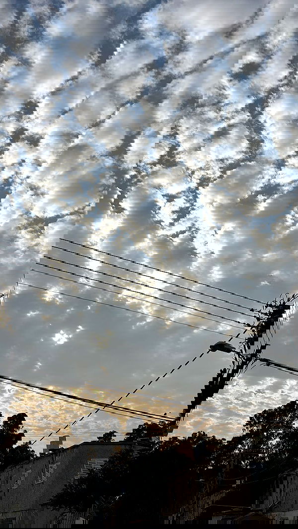 _._dianush._ _._dianush._ archive image