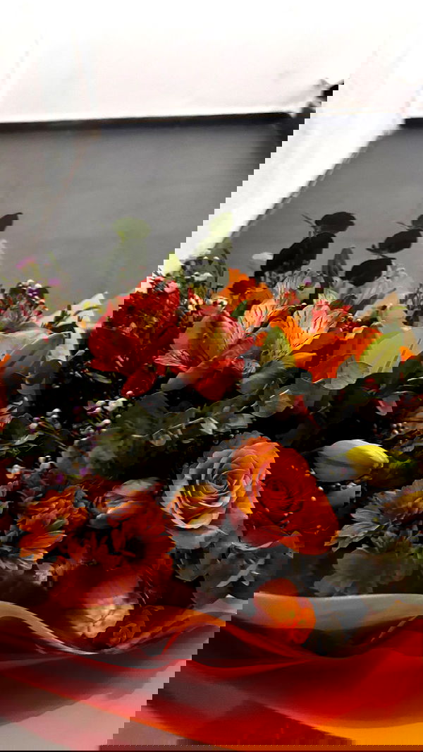 _._dianush._ _._dianush._ archive image