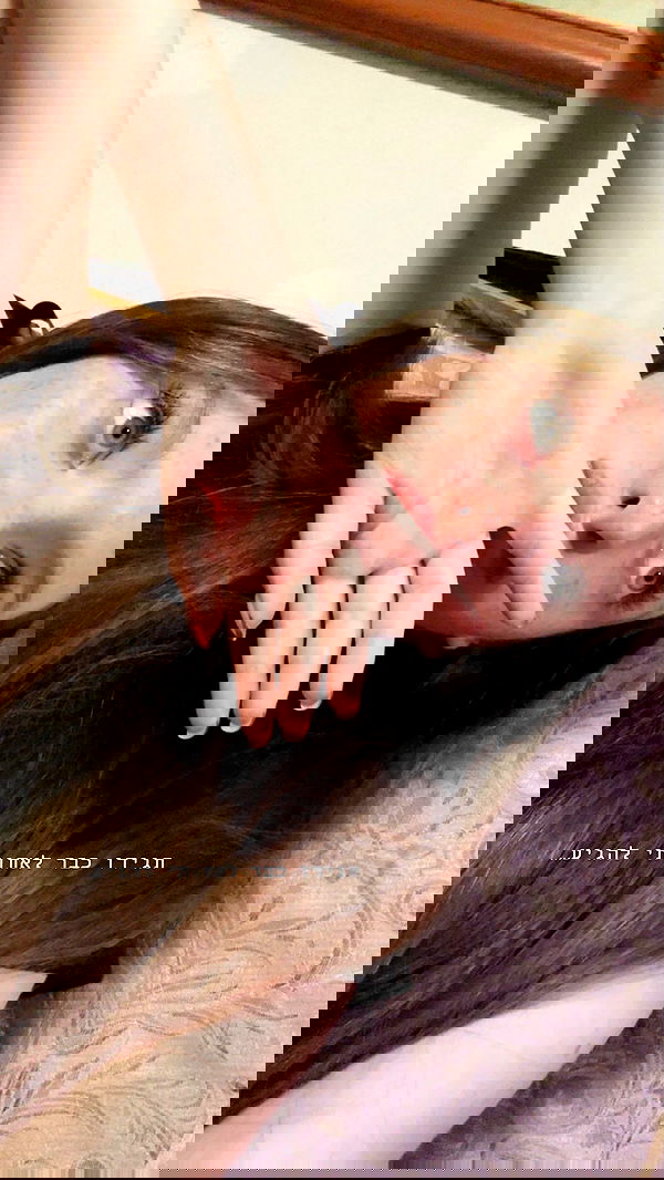 _._dianush._ _._dianush._ archive image