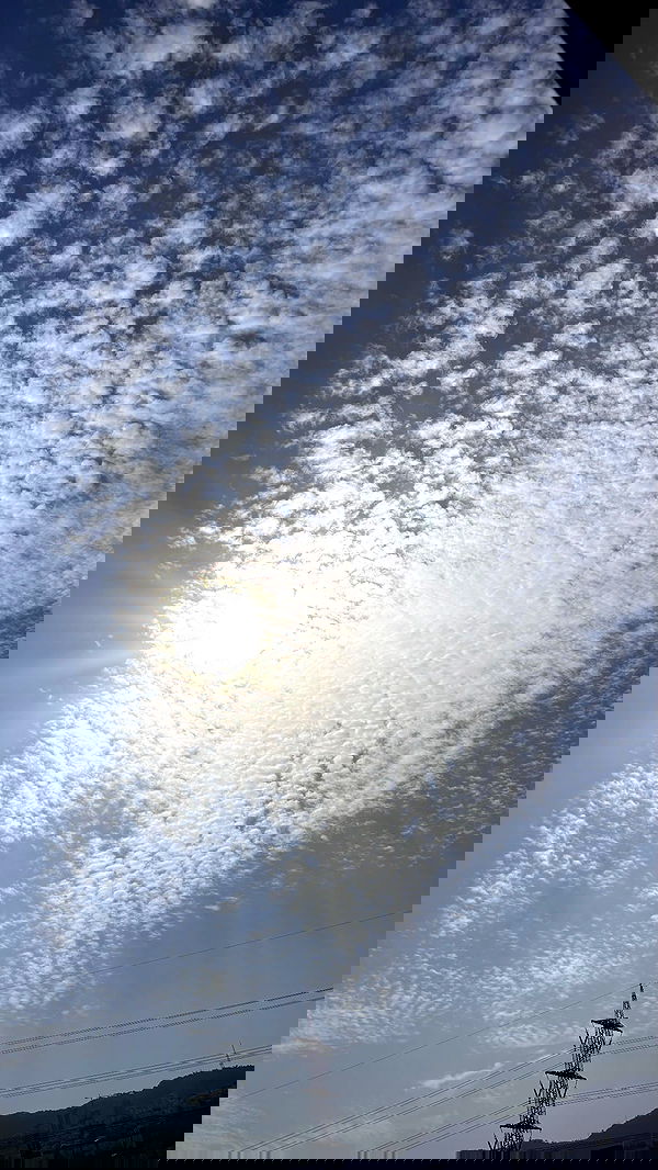 _._dianush._ _._dianush._ archive image