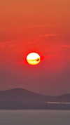 __.morf.__ Altpins Profile Picture
