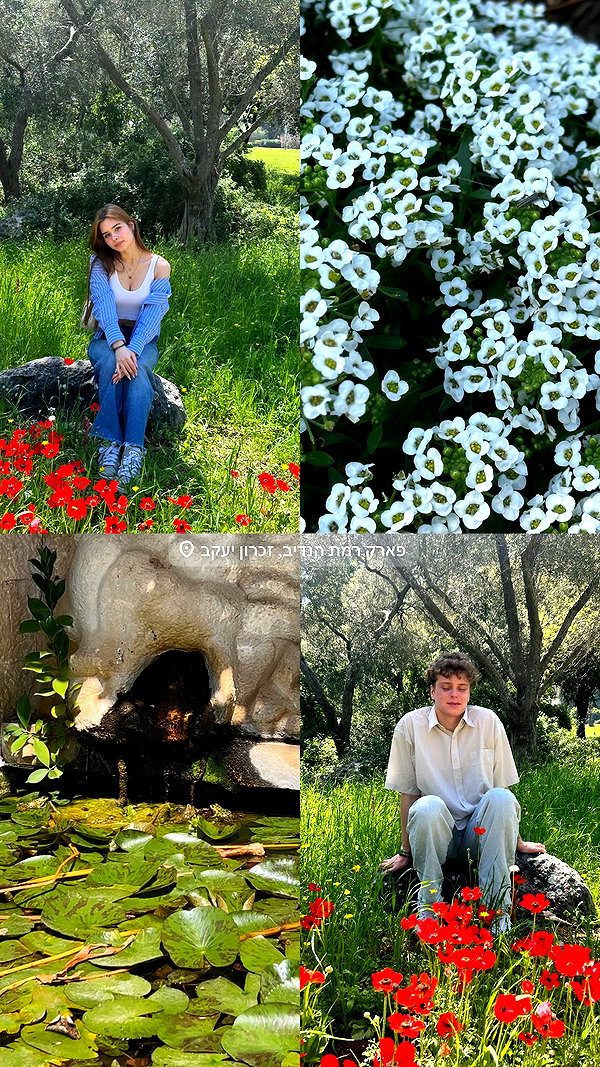 ___.ilana._ ___.ilana._ archive image