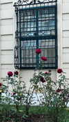 ___.ilana._ Altpins Profile Picture