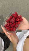 ___.ilana._ Altpins Profile Picture
