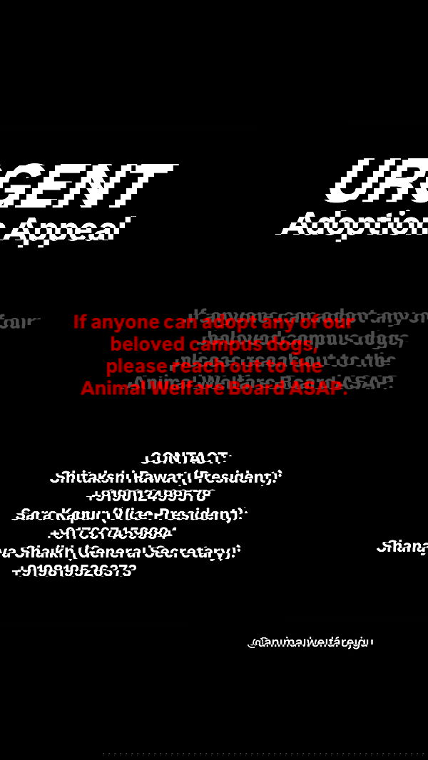 ___larxiii.v__ ___larxiii.v__ archive image