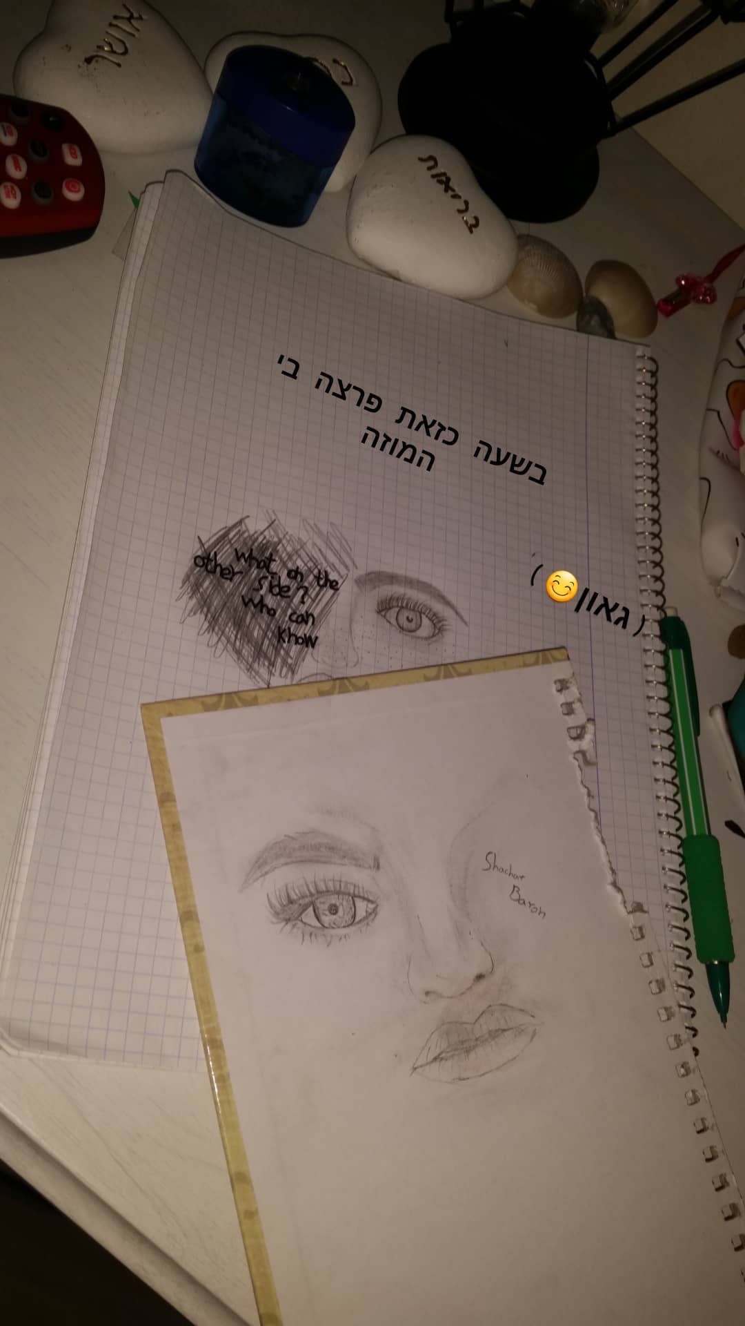 ___shachar instagram image archive image