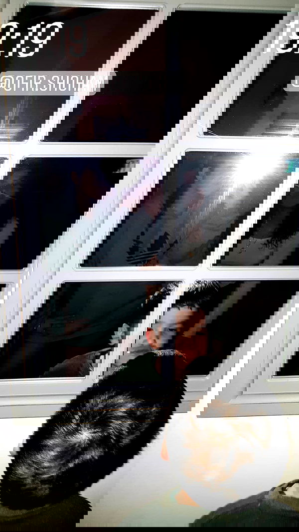 ___shachar image ~ Altpins