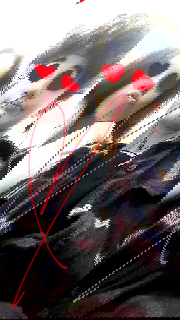 ___shachar image ~ Altpins