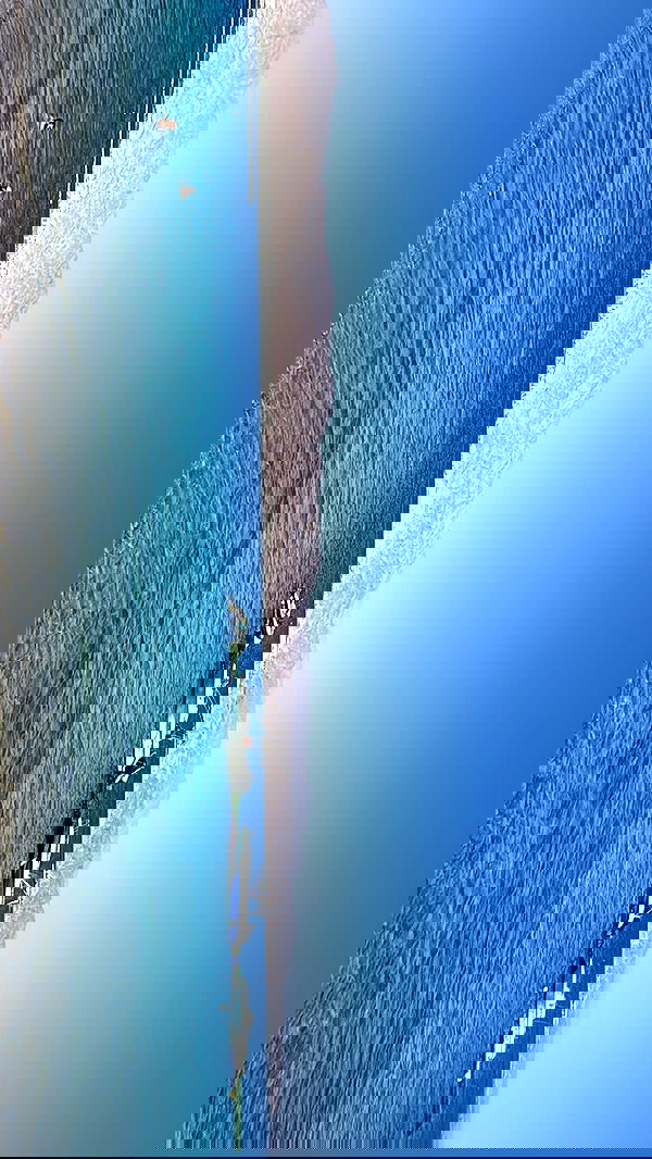 ___shachar image ~ Altpins