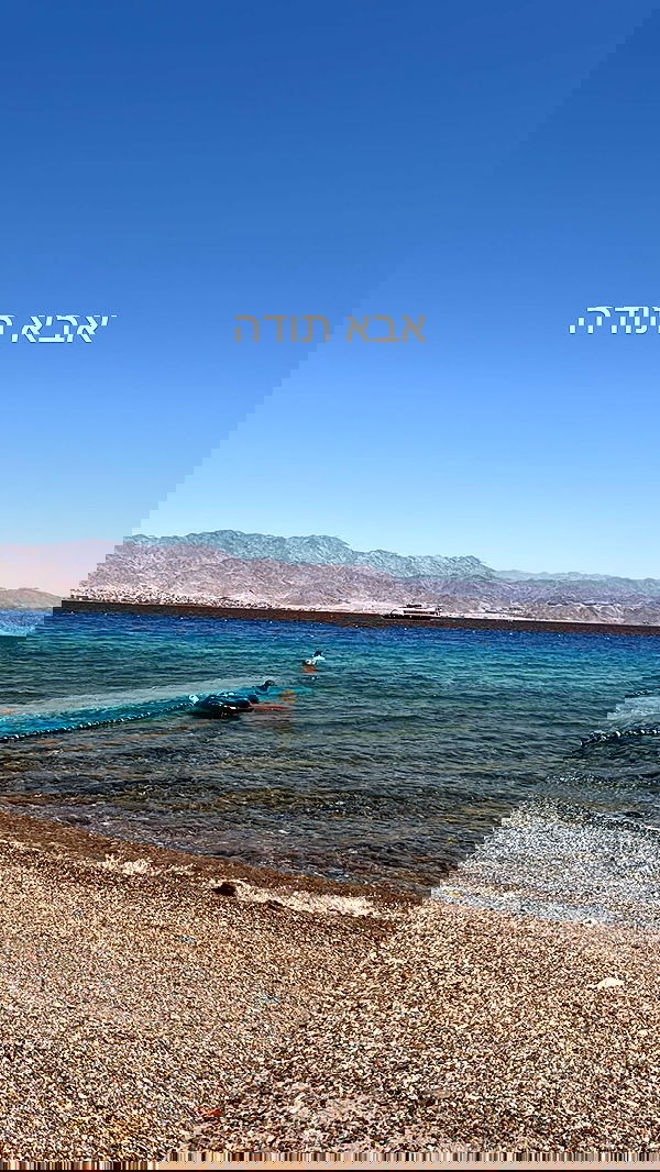 ___shachar image ~ Altpins