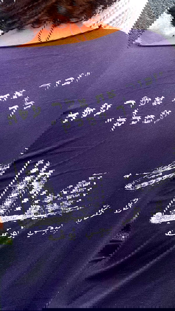 ___shachar image ~ Altpins