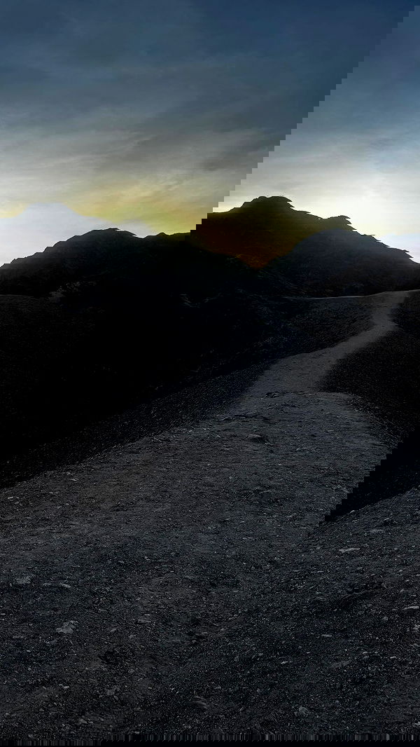 ___shachar image ~ Altpins