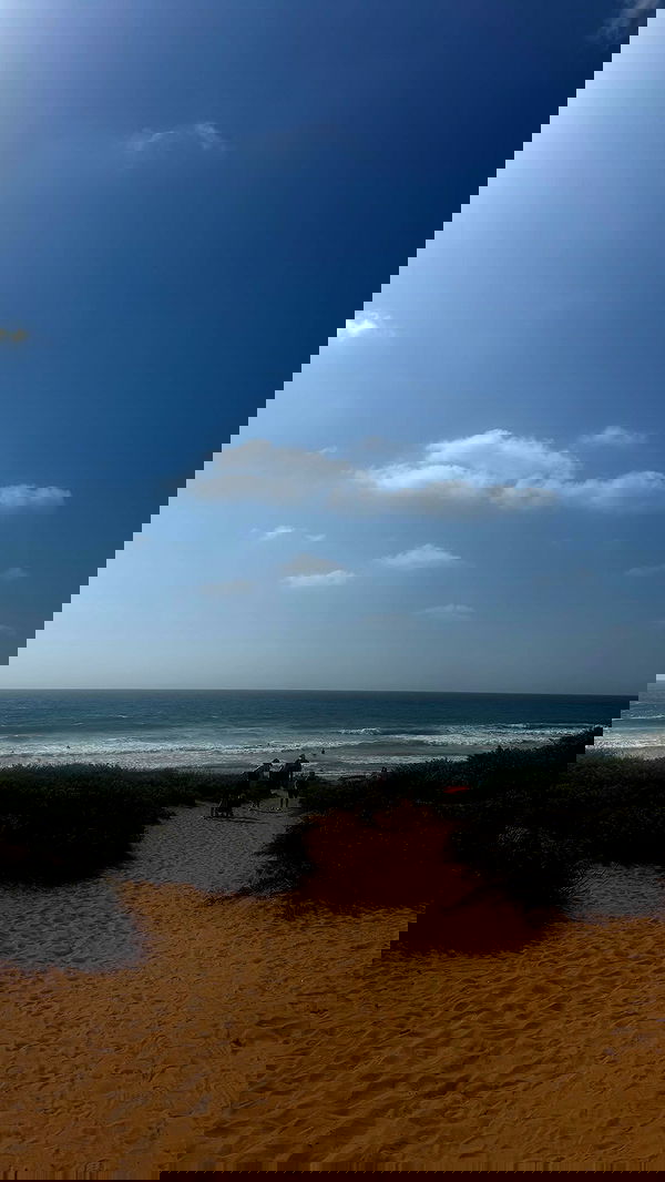 ___shachar image ~ Altpins