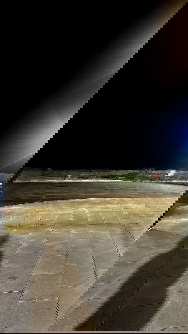 ___shachar image ~ Altpins