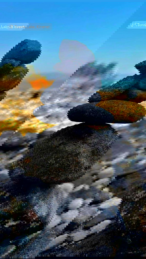 __noalarmnosurprises__ __noalarmnosurprises__ archive image