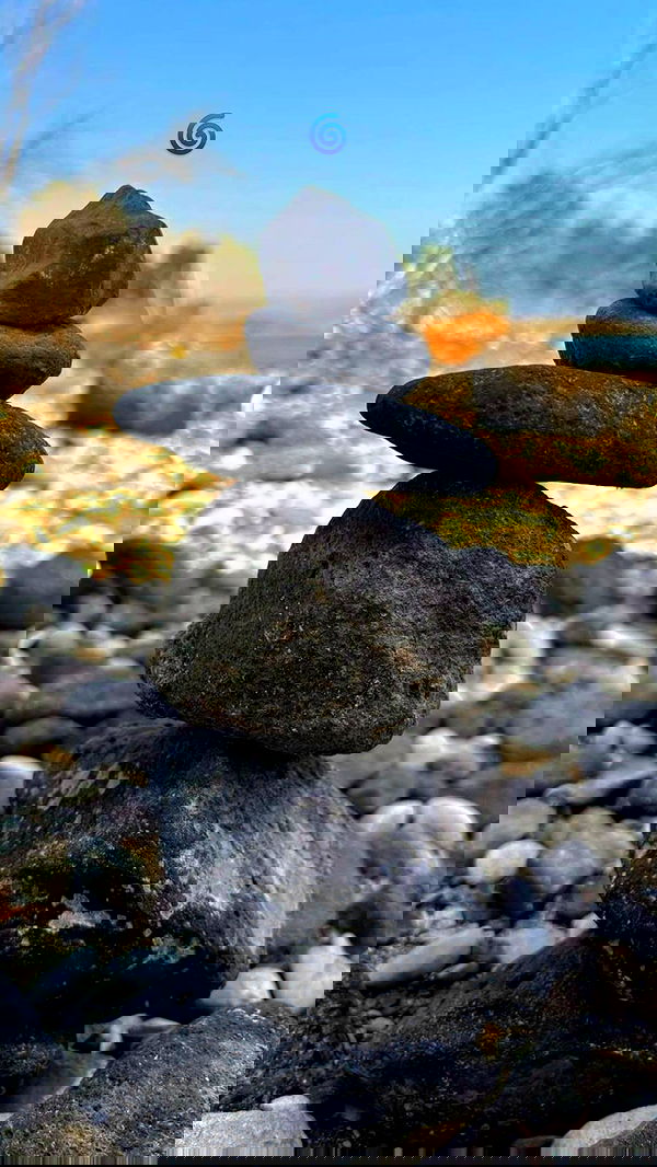 __noalarmnosurprises__ __noalarmnosurprises__ archive image