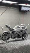 __qq16 Altpins Profile Picture