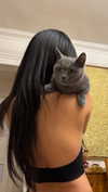 __qq16 Altpins Profile Picture
